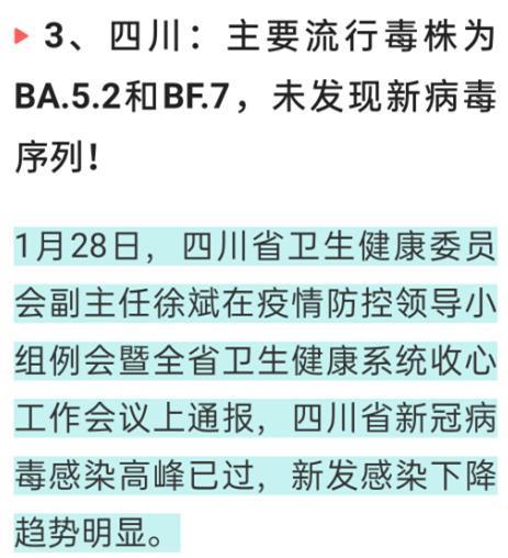 双夏柳